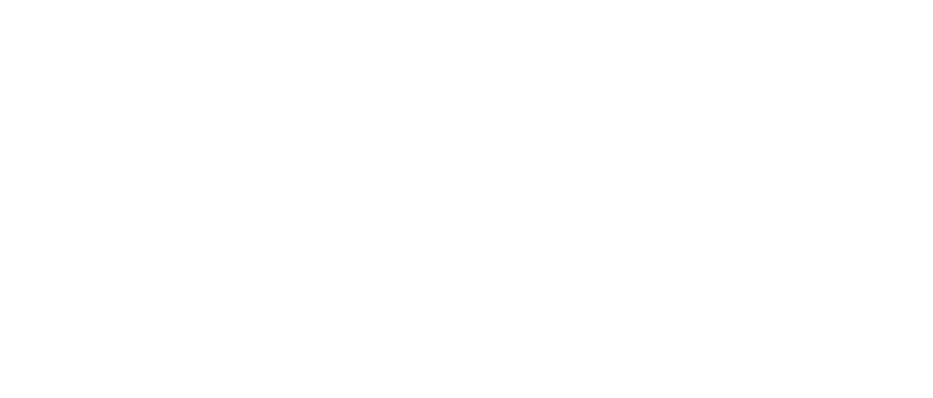 NSA – NetSupport Analytics